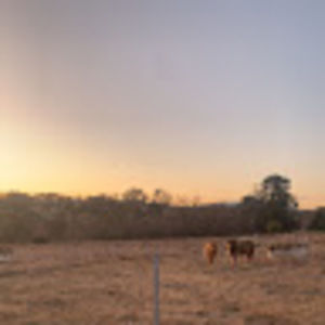 Meet your Posher, Lailah